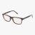 Tortoise Brown